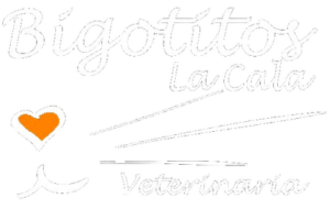 footer-logo.png